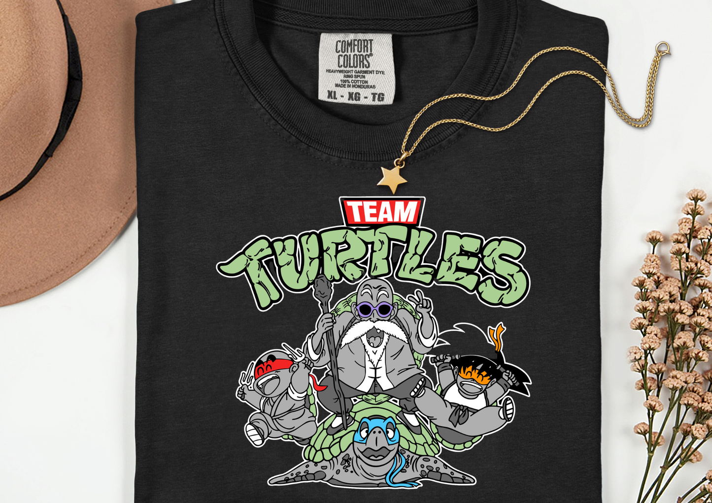 Turtles Transfer