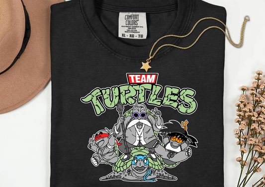 Turtles Transfer